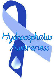 Hydrocephalus Awareness Quotes Awareness Brain Function