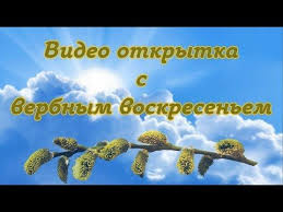 Красивая мерцающая гифка на вербное воскресенье 2021. Video Otkrytka Pozdravlenie S Verbnym Voskresenem Youtube V 2021 G Otkrytki Video Voskresene