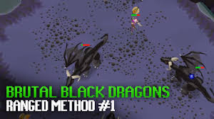 Brutal black dragons are known for being the only monster to drop the dragon spear not via the rare. 20 Afk Combat Training Methods Osrs