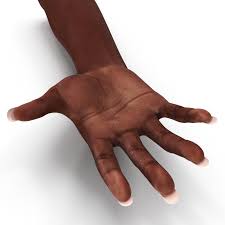 Female Hand African American 3d Model African American 3d Model American