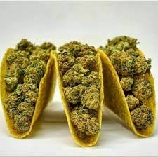 Jaunty Live Rosin Gummies