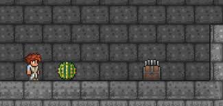 How to make an custom chest with tmodloaderdownload mod folder with all the. Rolling Cactus The Official Terraria Wiki