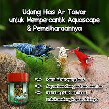 Semua penderita penyakit jantung sebaiknya memang mengikuti menu diet jantung yang akan membantu menjaga kesehatan jantung. Udang Hias Air Tawar Untuk Mempercantik Aquascape Pemeliharaannya Raja Petshop