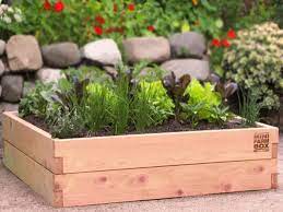 Our drip irrigation kits are easy to manage customized irrigation kits fit in a 4'x4' or 4'x8' minifarmbox raised bed. Raised Garden Bed Kits Minifarmbox Kitchen Garden Plants Vegetable Garden Raised Beds Raised Garden Kits