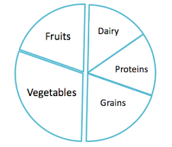 Circumstantial Blank Diet Chart 2019
