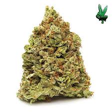 Growing gorilla glue # 4 or gg#4 as it's commonly referred to these days is a breeze and breeders of all levels will be able to produce the most stickiest resin coated buds that this strain is renowned for effortlessly.potency (and these marijuana seeds should carry a potency warning). Gorilla Glue 4 Hybrid West Coast Cure Supplies