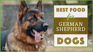 How much to feed a german shepherd puppy per day: 10 Healthiest Best Dog Food For German Shepherds In 2021