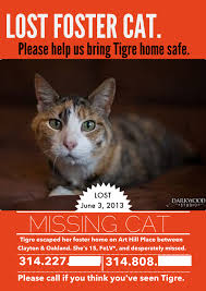 After a while, carry on as you have been, but whenever your cat turns to you after you've used your command, reward them and they'll soon learn that it's a good idea to listen up! Lost Cat Tips Tenth Life Cat Rescue