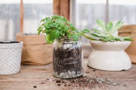 In most cases, the living room is where you spend the greatest amount of your time. How To Plant In A Pot Without Drainage Holes Magnolia Potted Plants Outdoor House Plant Pots Plant In Glass