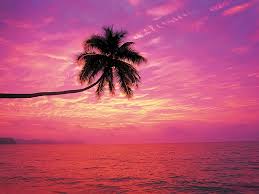 Sunset Backgrounds For Ipad 2306716 Hd Wallpaper Backgrounds Download Find the best free sunset stock images.