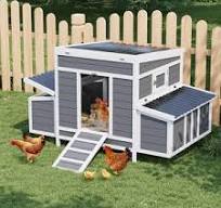 Large Wooden Chicken Coop for 4-6 Chickens, Outdoor Poultry Cage with 2  Nesting Boxes, Pull-Out Tray & No-Slip Ramp, Weatherproof for Backyard Farm