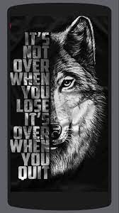 You can also upload and share your favorite wolf wallpapers 1920x1080. Lone Wolf Wallpapers Hd Backgrounds For Android Apk Download