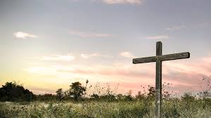 Obituary information for Donna L. Moyes