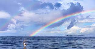 Téléchargez cette image gratuite à propos de nuages terre ciel arc en de la vaste bibliothèque d'images et de vidéos du domaine public de pixabay. Arc En Ciel En Mer Belle Photo Photo Arc En Ciel Ciel