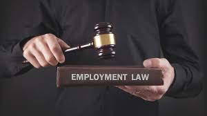 Understanding Employment Law: Your Guide To Workplace Rights And  Obligations - KRA Legal Overseas LLP