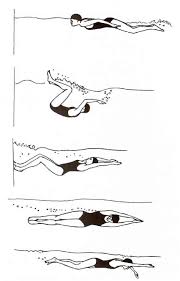Learning how to flip turn can be challenging. Facing Fear One Flip Turn At A Time A La Carte Spirit By Ilona Fried