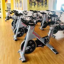 The cycle trainer 290 c upright exercise bike is a well designed, well equipped exercise bike at around $300. Gold S Gym 290c Exercise Bike Manual Cheap Online