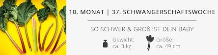 Lange hatte man eltern dazu geraten, das gewicht ihres babys regelmäßig zu prüfen, um zu sehen, ob die perzentilenkurven sind weiterhin ein indikator, ob ein baby zu viel oder gar zu wenig wiegt. 37 Ssw Schwangerschaftswoche Das Erlebst Du In Der 37 Schwangerschaftswoche
