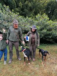 Image result for sedmihradský honič