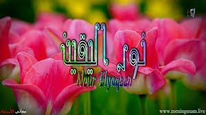 معنى اسم نور اليقين وصفات حاملة هذا الاسم nour elyaqeen معاني الأسماء ومعاني الكلمات وتفسير القرآن الكريم