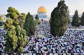 Search only for صلات العيد Klbrp1hv61hljm
