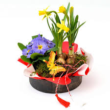 Va multumim doamnelor, pentru frumusetea voastra, pentru puterea voastra si pentru faptul ca ne suportati zi de zi! De 8 Martie La MulÅ£i Ani Tuturor Doamnelor Si Domnisoarelor Stiri Utile