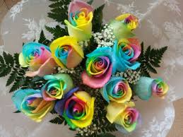 We did not find results for: 12 Rainbow Roses Rsr12 13 Bunches Flower Co