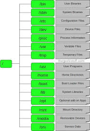 Linux Directory Structure File System Structure Explained With Examples Linux Linux Mint Linux Operating System