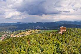 Maybe you would like to learn more about one of these? Wieza Widokowa I Sciezka W Koronach Drzew W Krynicy Juz Otwarta Pierwsza Taka Atrakcja W Polsce Zdjecie Nr 2