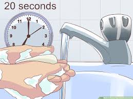 We did not find results for: How To Make A Raw Food Diet For Dogs With Pictures Wikihow