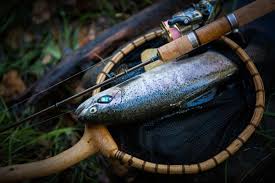 Great bait for rainbow trout. Fishing On Oak Creek Slide Rock State Park