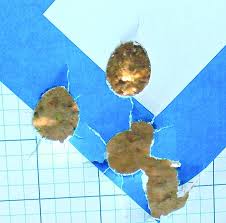 Slug shells contain a single large metal ball. Slugs For Self Defense These Shotgun Rounds Rock Gun Tests The Consumer Resource For The Serious Shooter