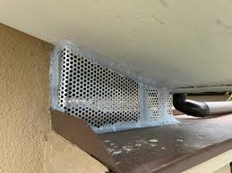 アライグマ駆除なら害獣BUZZ - 協会加盟店&長期保証で安心の専門業者