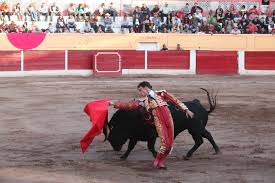 Festejo de una oreja