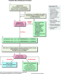 Part 13 Pediatric Basic Life Support Circulation