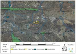 Image result for Dichilus bainesii