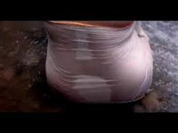 We did not find results for: Mallu Aunty Hot River Bath Wearing Panty And Nips Visible Xnxx Com