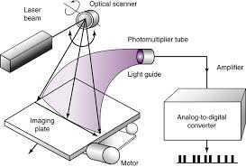 Element detector are extensively used in archaeology to find hidden metal bodies. Image Receptors And Image Acquisition Radiology Key