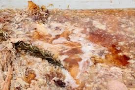 Cheesesteak from fedoroff's is good but a tad salty. Roast Pork Federoff S Roast Pork Smorgasburg Brooklyn Heights Brooklyn