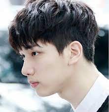 24 Populer Korean Short Hairstyle Male Color Short Hair Styles Korean Short Hair Korean Men Hairstyle