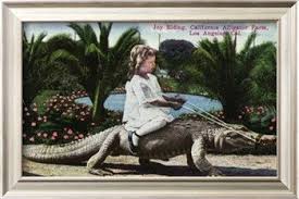 Los Angeles California Girl Riding Alligator At The Farm Art Print Lantern Press Art Com Farm Art Art Prints California Girls