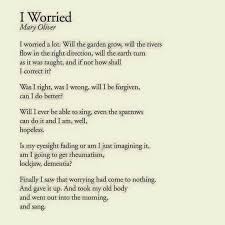 I Worried Mary Oliver Poem Poetry Worrying Mary Oliver Pretty Words Poems