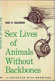 Bones, or other structural supporting tissues, are really only necessary for larger organisms; Sex Lives Of Animals Without Backbones Amazon De Najarian Haig Hagop Fremdsprachige Bucher