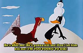 Daffy duck by cuddlycooper on deviantart. An Uncoventional Lady Daffy Duck Agrees To Hide Tom Turk From Porky Pig