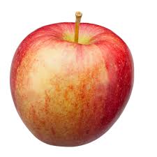 Image result for apple
