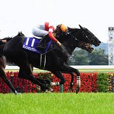 ダノンキングリー (danon kingly) は、日本の競走馬。主な勝ち鞍は2019年の毎日王冠（gii）、共同通信杯（giii）、2020年の中山記念（gii）。 馬名の意味は冠名＋王にふさわしい、王位に君臨することを願って。 Vo Shshgeirgkm