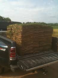 Maybe you would like to learn more about one of these? Shelby Sod Sod Sod Farm Emerald Zoysia Centipede Bermuda