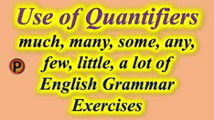 Learn vocabulary, terms and more with flashcards, games and other study tools. Use Of Quantifiers Much Many Some Any Few Little A Lot Of English Grammar Exercises Youtube