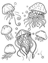 Jellyfish Coloring Page Animal Coloring Pages Ocean Coloring Pages Fish Coloring Page