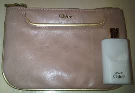 absolutely fabulous22 free chloe pouch